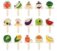 Lot de 15 étiquettes de plantes en bois de type T avec motifs de dessins animés et noms imprimés en gras pour organiser les plantes de jardin (A)