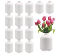 Lot de 15 petits vases en céramique blanche de 9,6 cm pour fleurs, mini vases pour centres de table pour fleurs sèches, gars de pampa pour maison, mariage, décoration de table