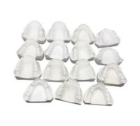 Lot de 15 pièces de plâtre à bouche complète - Modèle de demi-bouche manquant - Mâchoire supérieure et inférieure - Modèle dentaire édenté pour l'étude et l'enseignement