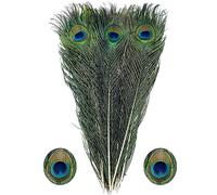 Lot de 15 plumes de paon naturelles en vrac de 40 à 50 cm, longues plumes de paon pour décorations de vases, décoration de fête et loisirs créatifs