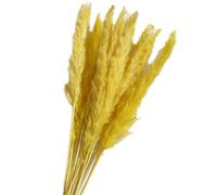 Lot de 15 roseaux naturels séchés - Fleurs artificielles dans un vase, une porte, une couronne de décoration dans la maison et la cuisine - Jaune