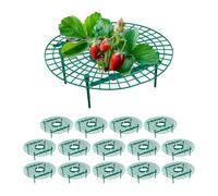 Lot de 15 supports pour fraisiers en plastique vert - grille protectrice 10 x 30 cm contre pourriture et limaces