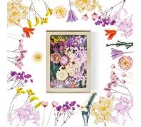 Lot de 15 variétés de fleurs séchées naturelles et feuillages multicolores - DIY résine époxy, scrapbooking, loisirs créatifs