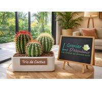 Lot de 150 graines à semer - Le Grenier d'Abondance - Trio de graines de Cactus - 3 sachets individuels