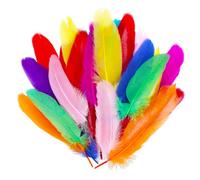 Lot de 150 plumes naturelles pour bricolage, décorations pour attrape-rêves, costumes, travaux manuels, décorations de mariage, Halloween, carnaval (multicolore)