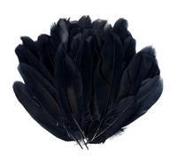 Lot de 150 plumes naturelles pour bricolage, décorations pour attrape-rêves, costumes, travaux manuels, décorations de mariage, Halloween, carnaval (noir)