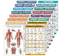 Lot de 16 affiches d'entraînement : haltères, suspension, kettlebell, bandes, ballon de médecine, corde de combat, étirement, poids corporel, haltère, yoga, ballon d'exercice (papier - non laminé