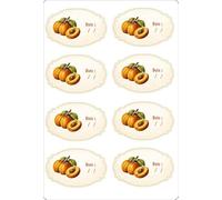 Lot de 16 etiquettes autocollant sticker conserve confiture bocaux abricot