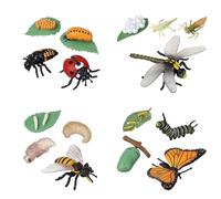 Lot de 16 Jouets Insectes Cycle de Vie du Papillon, Abeille, Libellule et Coccinelle, Figurines d'insectes en Plastique, Jouet éducatif précoce, Projet Scientifique, Cadeau de Noël ou