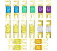 Lot de 16 mini fusibles comprenant des fusibles de 20 A à 150 A pour une utilisation marine, compatible avec les systèmes DC 12 V et 24 V, protection sûre et fiable