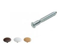 Lot de 16 vis d'assemblage avec cache acier chromé HETTICH, l.50 mm G