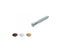 Lot de 16 vis d'assemblage avec cache acier chromé, l.50 mm