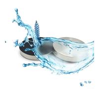 Lot de 16 vis de finition chromée pour sécuriser les miroirs avec un aspect poli (12 mm)