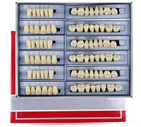 Lot de 168 fausses dents dentaires complètes en résine acrylique, 6 ensembles de dents entières en polymère synthétique, 23 nuances A3 matériaux dentaires supérieurs + inférieurs pour remplacement,