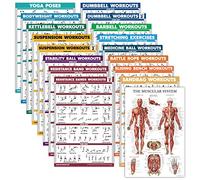 Lot de 17 affiches d'exercice : haltères, suspension, kettlebell, musculaire, ballon de médecine, corde de combat, bandes de résistance, étirements, poids corporel, haltère, yoga et plus encore
