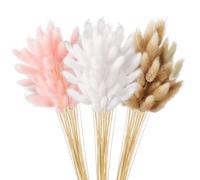 Lot de 180 herbes de la pampa séchées - Queues de lapin - Herbe de la pampa séchée - Fleurs séchées - Bouquet d'herbe de la pampa naturelle pour mariage, salon, chambre à coucher
