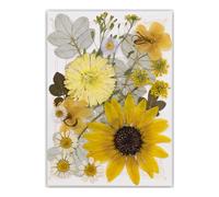 Lot de 19/20/21/22 fleurs séchées pressées pour résine naturelle et feuilles sèches pour loisirs créatifs, scrapbooking, fabrication de bijoux