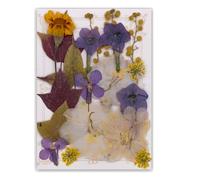 Lot de 19/20/21/22 fleurs séchées pressées pour résine naturelle et feuilles sèches pour loisirs créatifs, scrapbooking, fabrication de bijoux