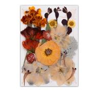 Lot de 19/20/21/22 fleurs séchées pressées pour résine naturelle et feuilles sèches pour loisirs créatifs, scrapbooking, fabrication de bijoux