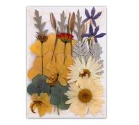 Lot de 19/20/21/22 fleurs séchées pressées pour résine naturelle et feuilles sèches pour loisirs créatifs, scrapbooking, fabrication de bijoux