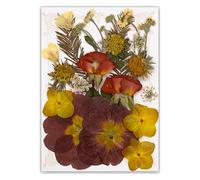 Lot de 19/20/21/22 fleurs séchées pressées pour résine naturelle et feuilles sèches pour loisirs créatifs, scrapbooking, fabrication de bijoux