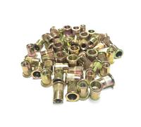 Lot de 2, 5, 10, 20 ou 30 écrous for rivet aveugle en acier inoxydable, inserts filetés zingués M3, M4, M5, M6, M8, M10, M12 for boîtiers et panneaux(Yellow Zinc Plated,M10(10pcs))