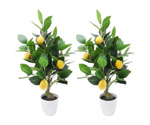 Lot de 2 50cm Petit citronnier Artificiel avec Pot,Arbre Artificiel Nain avec Citron,Branche&Feuillage,sans Entretien,Mini Fausse Plante décorative pour Salon,Bureau,Banquet-Intérieur/Extérieur