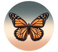 Lot de 2 aimants de porte moustiquaire - Réparez les petits trous et empêchez les personnes et les animaux domestiques de s'introduire dans les portes moustiquaires avec protection magnétique pour