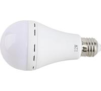 Lot de 2 ampoules LED d'urgence multifonctionnelles rechargeables de 12W, équivalentes à 60W 6000K, pour lampes suspendues d'extérieur, pour les pannes d'électricité, le camping et les fêtes
