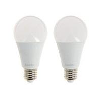 Lot De 2 Ampoules Smd Led Culot E27 1521 Lumens