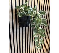 Lot de 2 anneaux acoustiques V2 pour plantes - Noir - Montage sans perçage - 12,8 cm