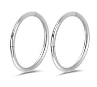 Lot de 2 anneaux de nez en titane 20 g, 18 g, 16 g, anneaux segmentés à charnière pour cartilage, hélix, tragus, conque, daith, rook, narine, boucles d'oreilles, diamètre de 5 mm à 12 mm, argenté