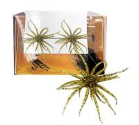 Lot de 2 appâts de pêche souples en forme d'oursin, 6 cm, 1,7 g, en TPR avec action naturelle de nage pour bar et mandarine, compatibles avec les têtes plombées, les bas de ligne Drop Shot, les étangs