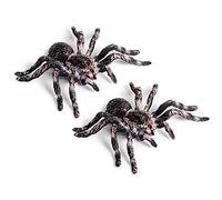 Lot de 2 araignées réalistes de 9,5 cm - Modèle d'insectes - Jouet amusant pour Halloween