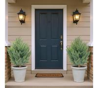 Lot de 2 arbres artificiels de cèdre - 66 cm - Cyprès artificiel topiaire - Avec piquet - Résistant aux UV - Plante de cyprès - Pour l'intérieur et l'extérieur - Porche, jardin, bureau