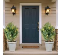 Lot de 2 arbres artificiels de cèdre avec lumière, 66 cm, cyprès artificiel, topiaire, avec piquet de terre, résistants aux UV, pour l'intérieur, l'extérieur, véranda, jardin, bureau