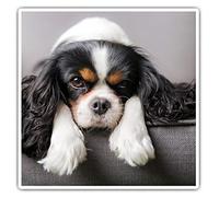 Lot de 2 autocollants carrés 10 cm - Cavalier King Charles Spaniel Chien Ordinateur Portable Tablette Bagages Scrapbook #12388