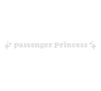 Lot de 2 autocollants de décoration de rétroviseur de voiture en vinyle pour passager, princesse, étoile