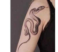 Lot De 2 Autocollants De Tatouage Temporaire À Base De Plantes, Faux Bras Européens Et Américains, Jus De Serpent, Femmes Et Hommes,S, Non Réfléchissants, Imperméables, Durée De 2 Semaines