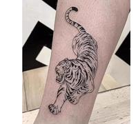 Lot De 2 Autocollants De Tatouage Temporaire À Base De Plantes, Faux Tigre En Bas De La Montagne, Femme Homme, Semi-Permanent, Non Réfléchissant, Étanche, Durée De 2 Semaines