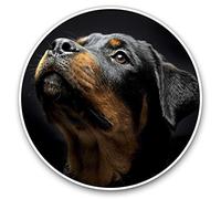 Lot de 2 autocollants en forme de cœur 10 cm - Rottweiler Chien Animaux Animaux Animaux pour ordinateurs portables, tablettes, bagages, scrapbooking, réfrigérateurs #8616
