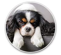 Lot de 2 autocollants en vinyle 10 cm - Cavalier King Charles Spaniel pour ordinateurs portables, tablettes, bagages, scrapbooking, réfrigérateurs, #12388
