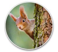 Lot de 2 autocollants en vinyle 16883 - Motif petit écureuil rouge