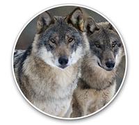 Lot de 2 autocollants en vinyle 7,5 cm - Motif loups sauvages hivernaux pour ordinateurs portables, tablettes, bagages, scrapbooking, réfrigérateurs, cadeau cool #140318106 23 x 17 x 1 cm