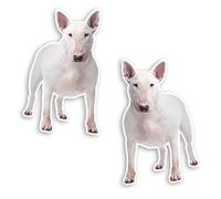 Lot de 2 autocollants en vinyle pour chien Bull Terrier Blanc 10 cm
