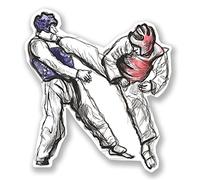 Lot de 2 autocollants en vinyle pour ordinateur portable, kickboxing, taekwondo, karaté, 10 cm, #6699 (9 cm de large x 10 cm de haut)