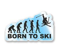 Lot de 2 Autocollants en Vinyle pour Ordinateur Portable, Ski, Montagne, Cadeau Amusant #6592 (10 cm de Large x 6 cm)