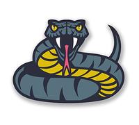 Lot de 2 autocollants en vinyle pour ordinateur portable, tablette, voiture, vélo, animaux serpents #6682 (10 cm de large x 7,5 cm de haut)