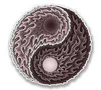 Lot de 2 autocollants en vinyle Yin Yang pour ordinateur portable yoga, méditation, ying, karaté #9778 (10 cm de large x 10 cm de haut)