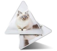 Lot de 2 autocollants triangulaires 10 cm - Sacré Birman, chat de Birma, chaton pour ordinateurs portables, tablettes, bagages, scrapbooking, réfrigérateurs #15565
